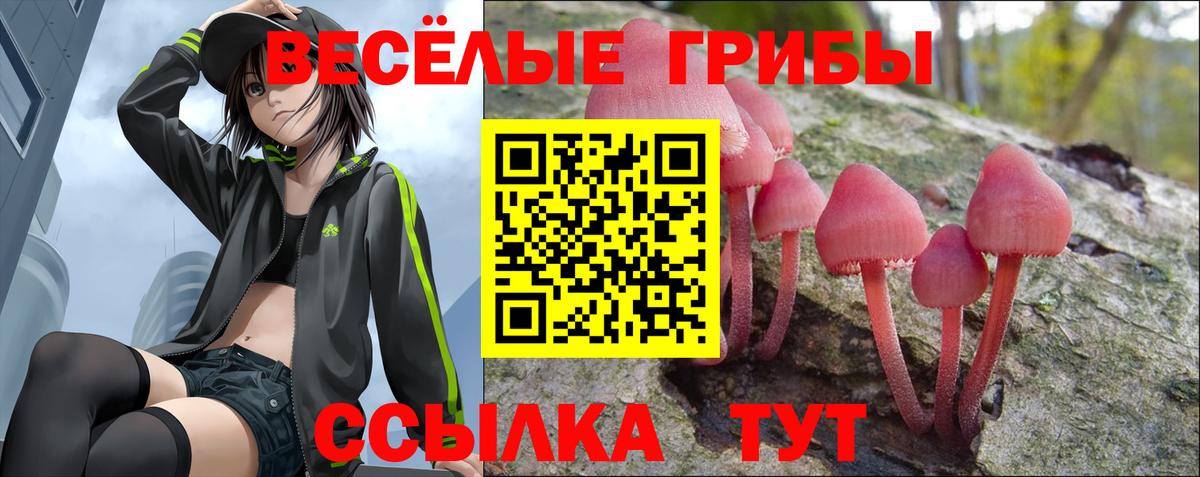 Галлюциногенные грибы Psilocybe  хочу наркоту  Великий Новгород  Вход с VPN 